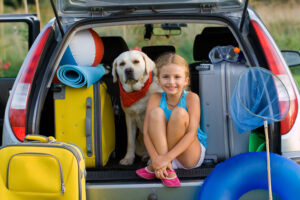 Hund Reisen Familie Auto